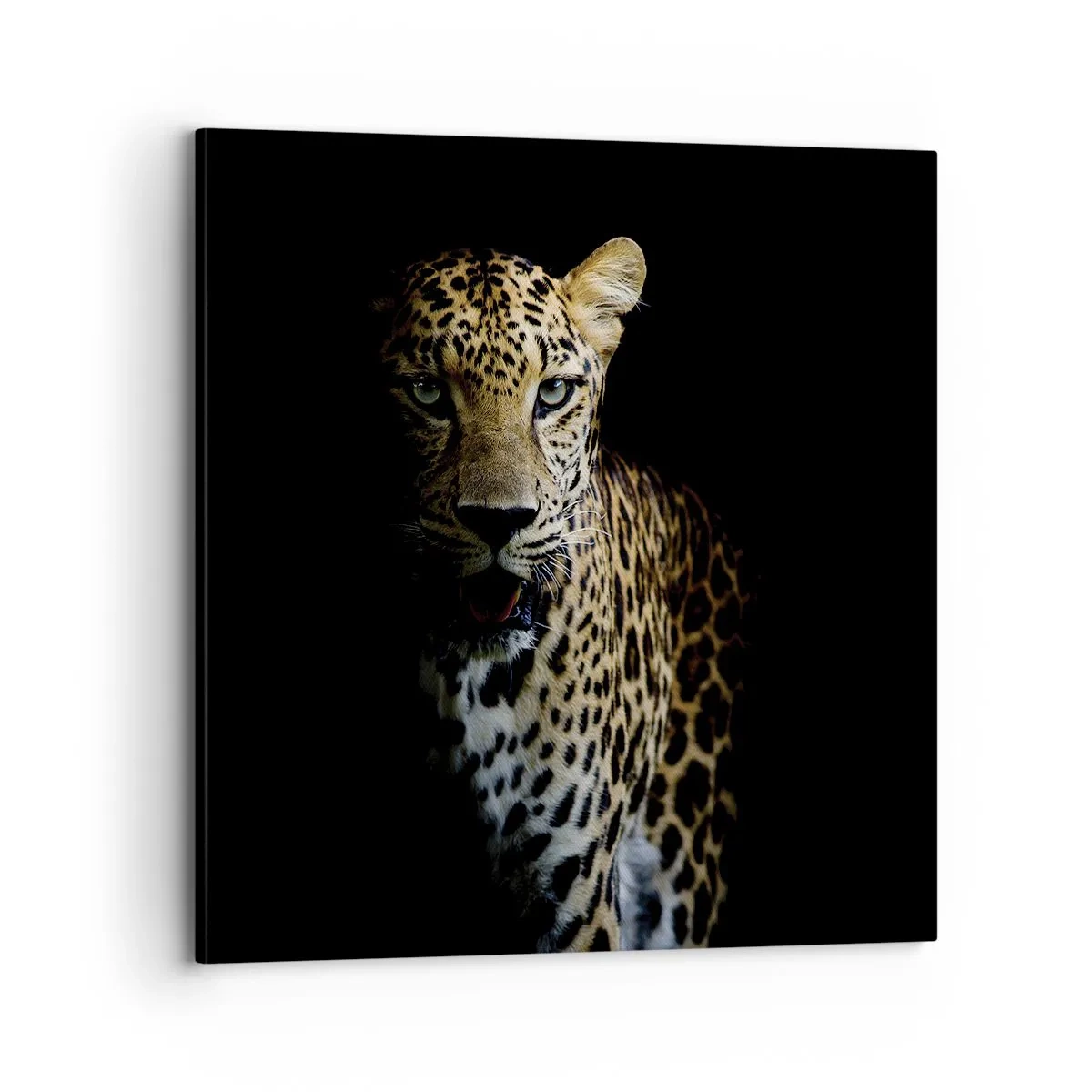 Schilderen op canvas - Donkere schoonheid - 70x70 cm