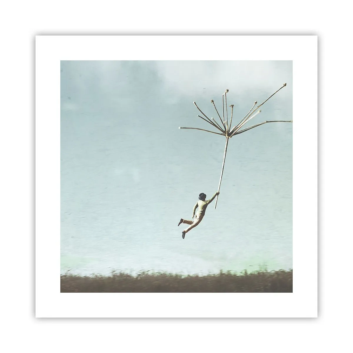 Poster - Vliegers, paardebloemen, wind - 40x40 cm