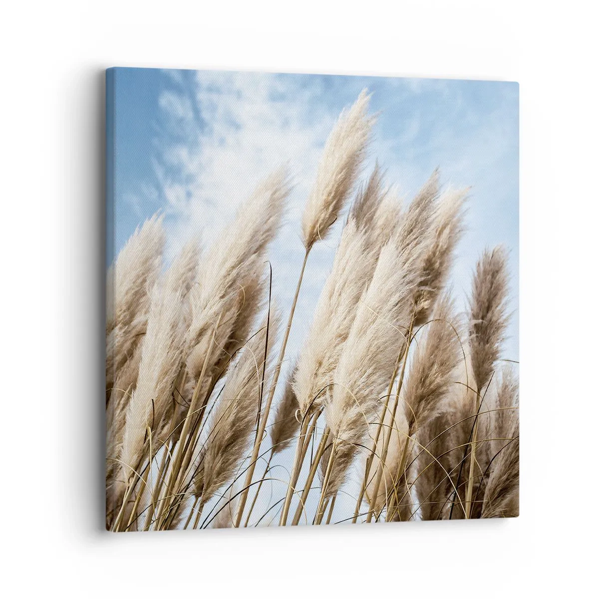 Schilderen op canvas - Zonnige en winderige streling - 30x30 cm