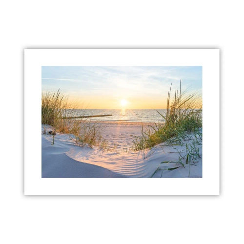Poster - Het geluid van de zee, het zingen van vogels, een wild strand tussen het gras... - 40x30 cm