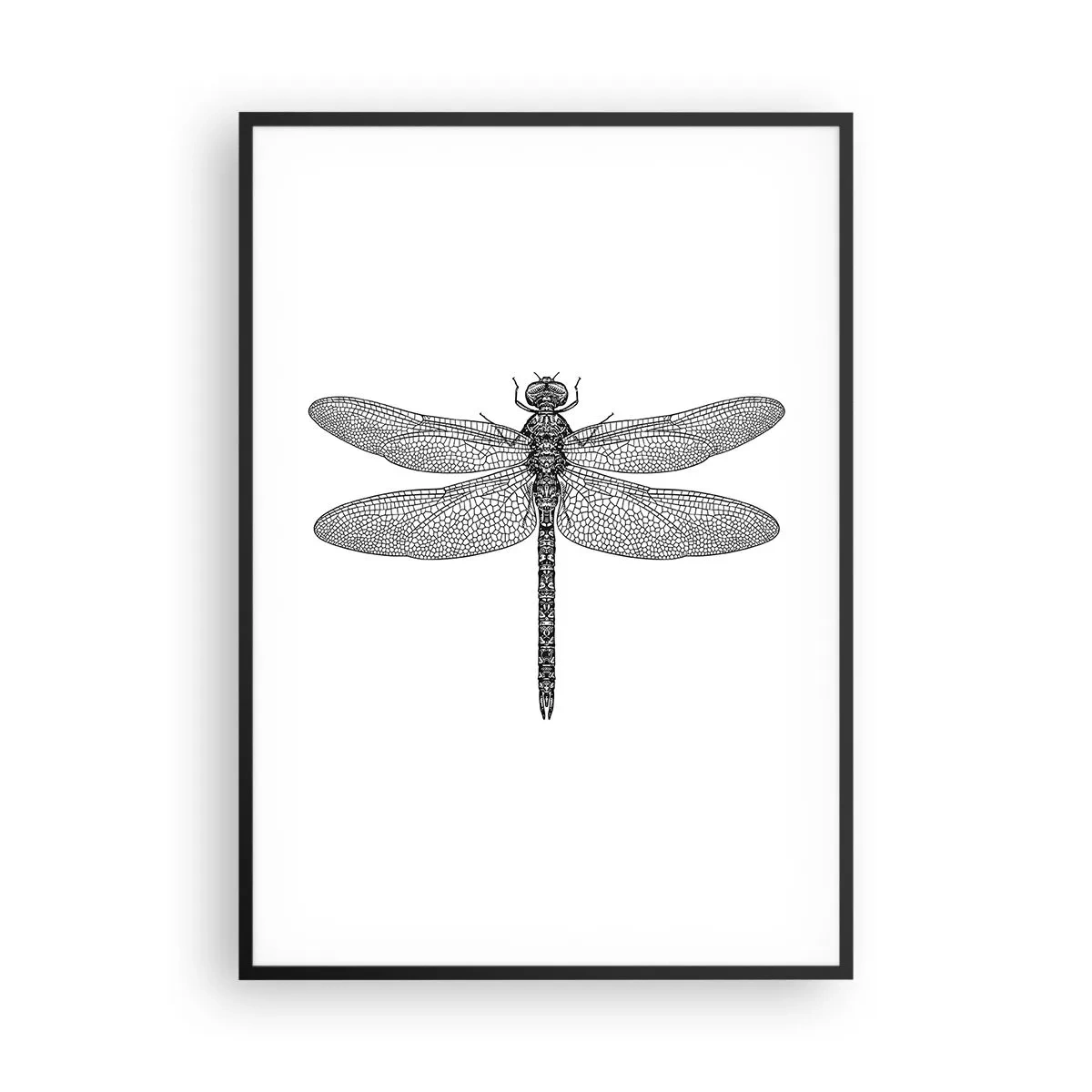 Poster in een zwarte lijst - Precisie van de natuur - 70x100 cm