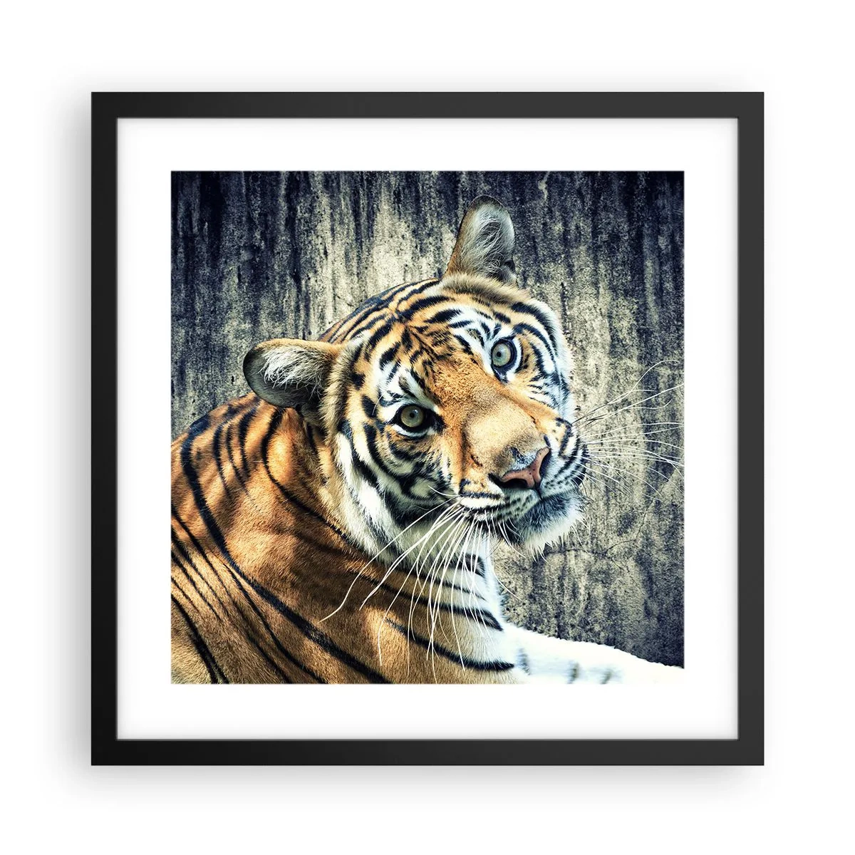 Poster in een zwarte lijst - Portret in stromen van licht - 40x40 cm