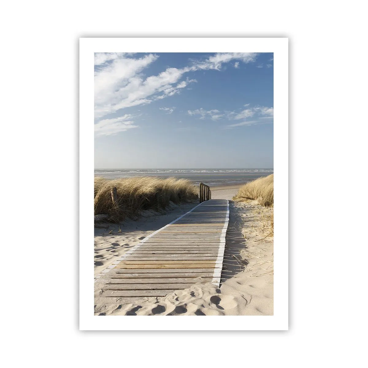 Poster - Achter het duin, in het ruisen van gras - 50x70 cm