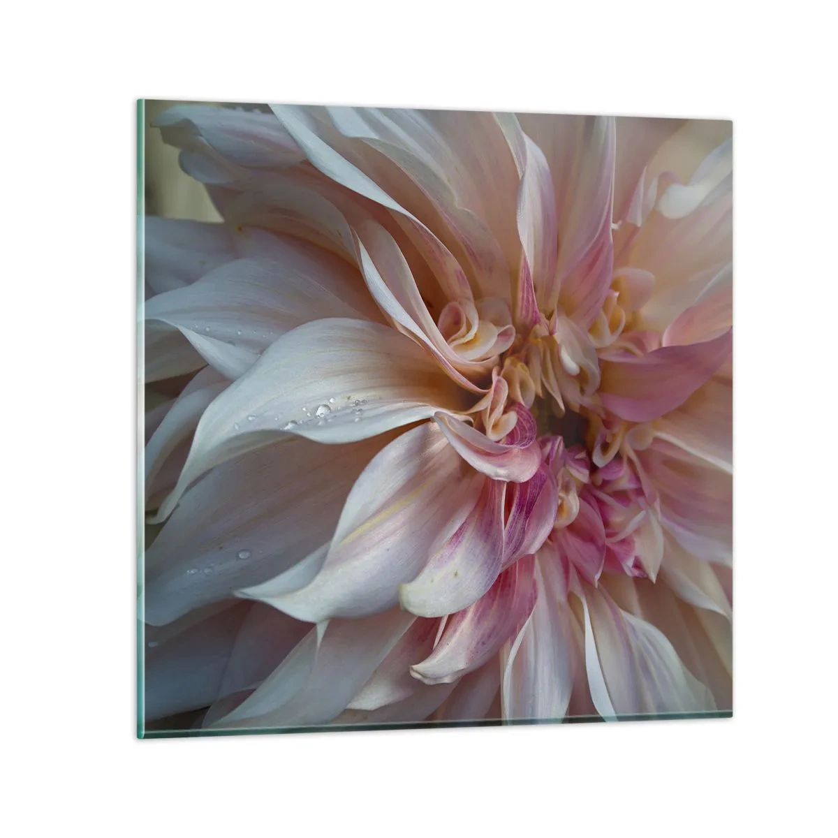 Schilderen op glas - Bloeiende frisheid - 70x70 cm