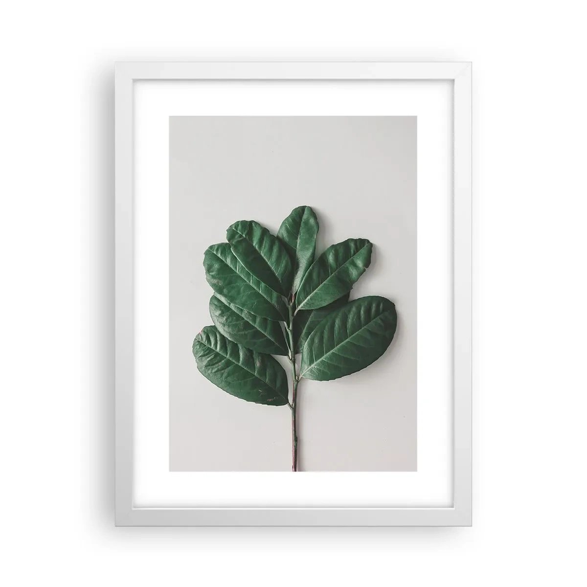 Poster in een witte lijst - Een tekening van de pure natuur - 30x40 cm