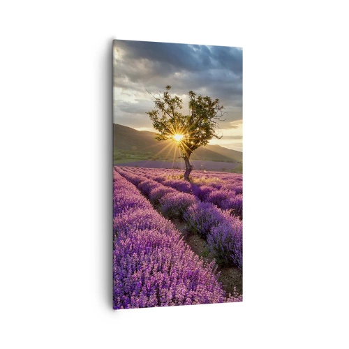 Schilderen op canvas - Lila gekleurd aroma - 65x120 cm