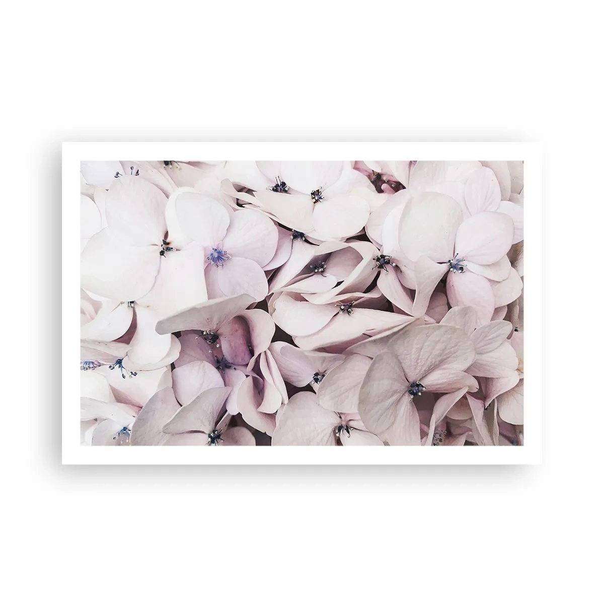 Poster - In een vloed van bloemen - 91x61 cm