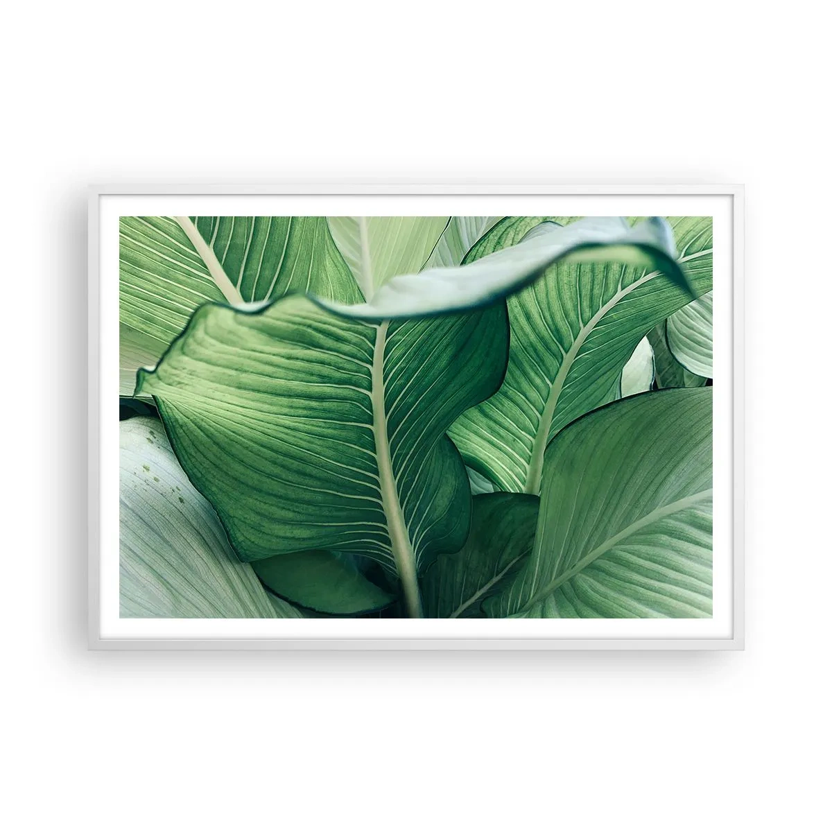 Poster in een witte lijst - Intens groen leven - 100x70 cm