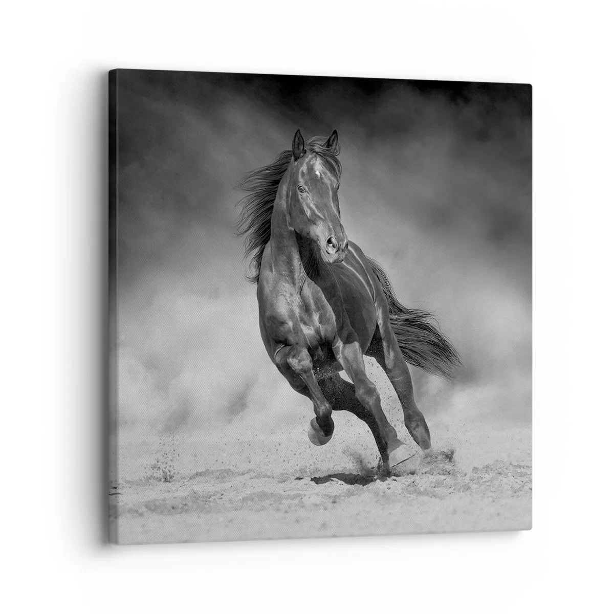 Schilderen op canvas - De emir zelf waardig - 30x30 cm