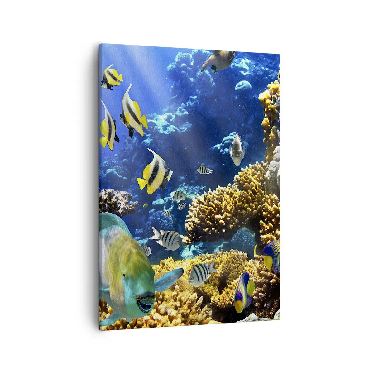 Schilderen op canvas - Veel verkeer op de vakantieroute - 50x70 cm