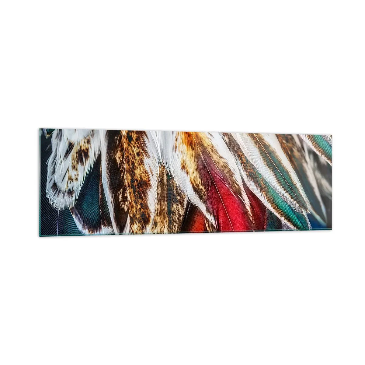 Schilderen op glas - Geheimen van de vlucht - 160x50 cm