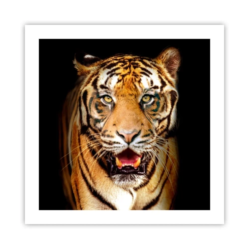 Poster - Wildheid in het hart - 50x50 cm