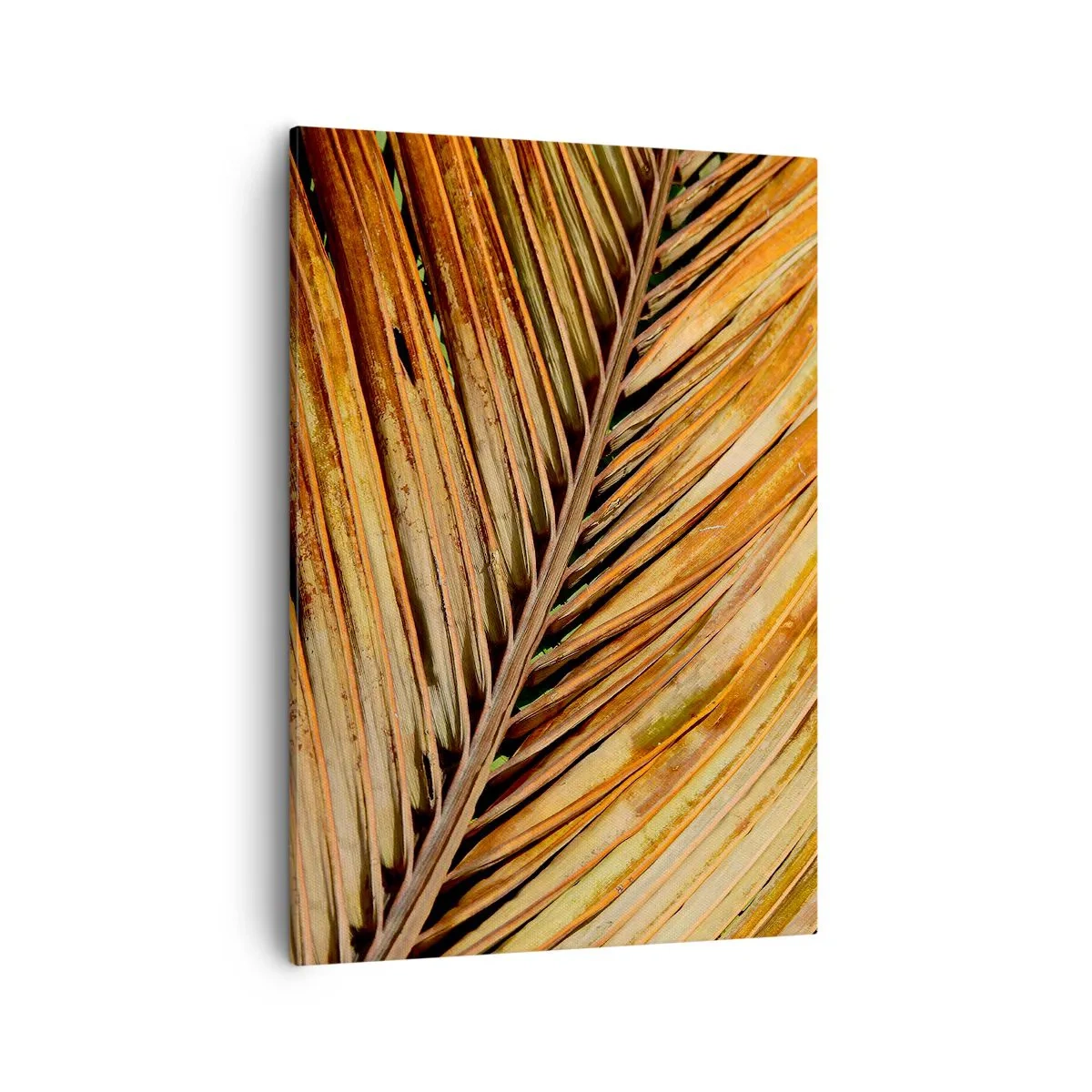Schilderen op canvas - Kokos goud - 50x70 cm