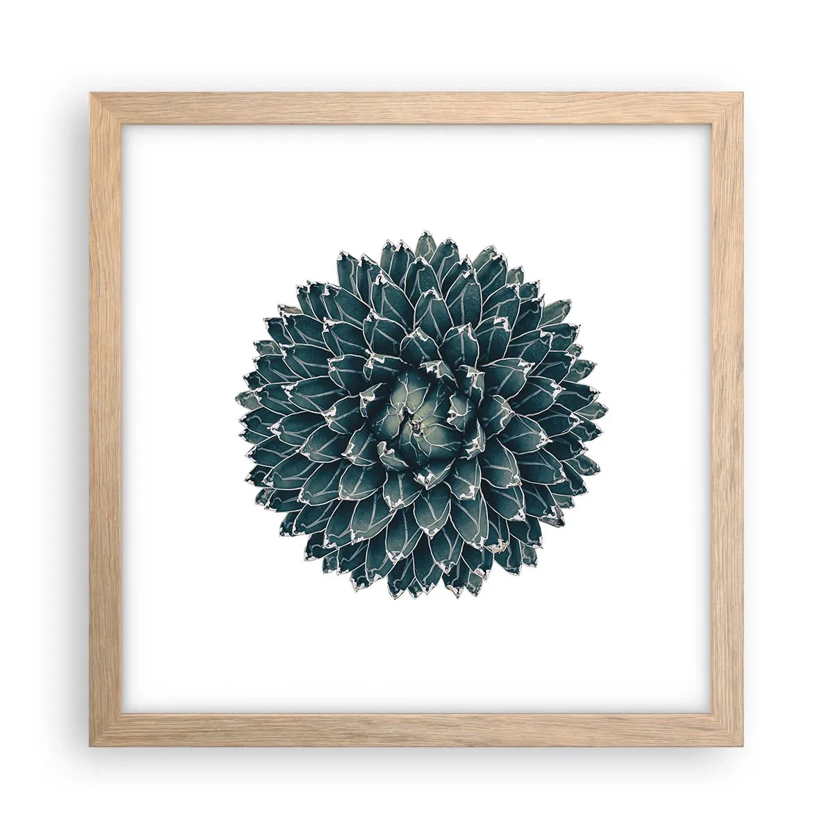 Een poster in een licht eiken lijst - De ster van de woestijn - 30x30 cm