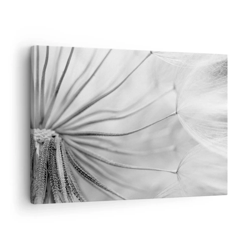 Schilderen op canvas - Delicate paardenbloemen in zwart-wit tinten - 70x50cm - Paardebloemen, vliegers - Moderne wanddecoratie voor woonkamer en slaapkamer ARTTOR