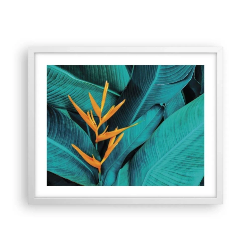 Poster in een witte lijst - Eden bloem - 50x40 cm