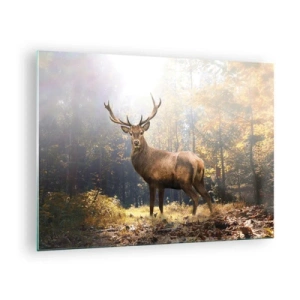 Schilderen op glas - Een statig hert in een zonnig herfstbos - 70x50cm - In volle majesteit - Moderne wanddecoratie voor woonkamer en slaapkamer ARTTOR