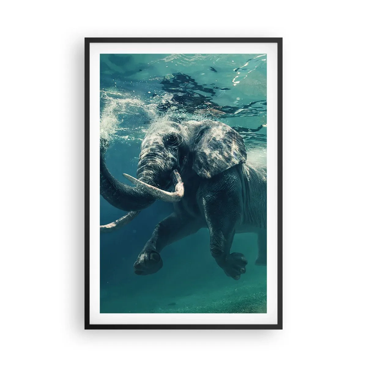 Poster in een zwarte lijst - Iedereen houdt van zwemmen - 61x91 cm
