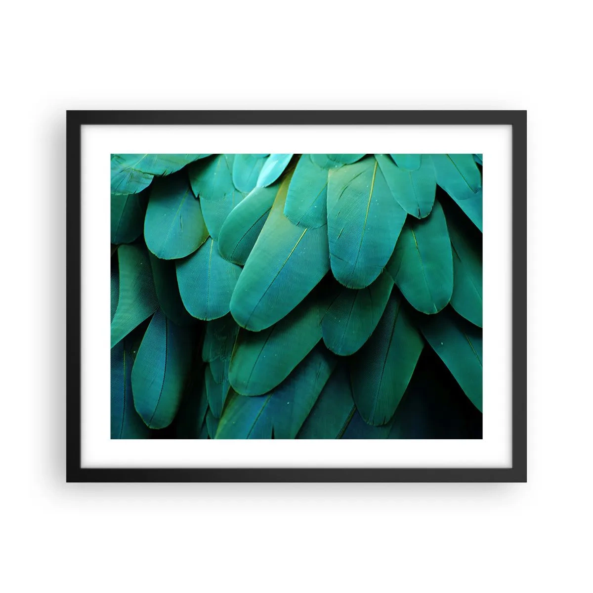Poster in een zwarte lijst - Papegaaiachtige precisie - 50x40 cm