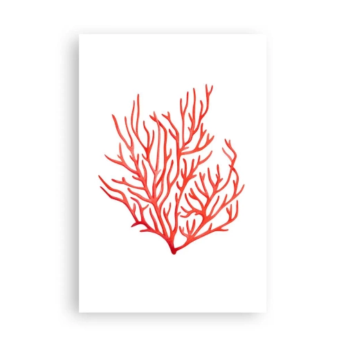 Poster - Koraal filigraan - 61x91 cm