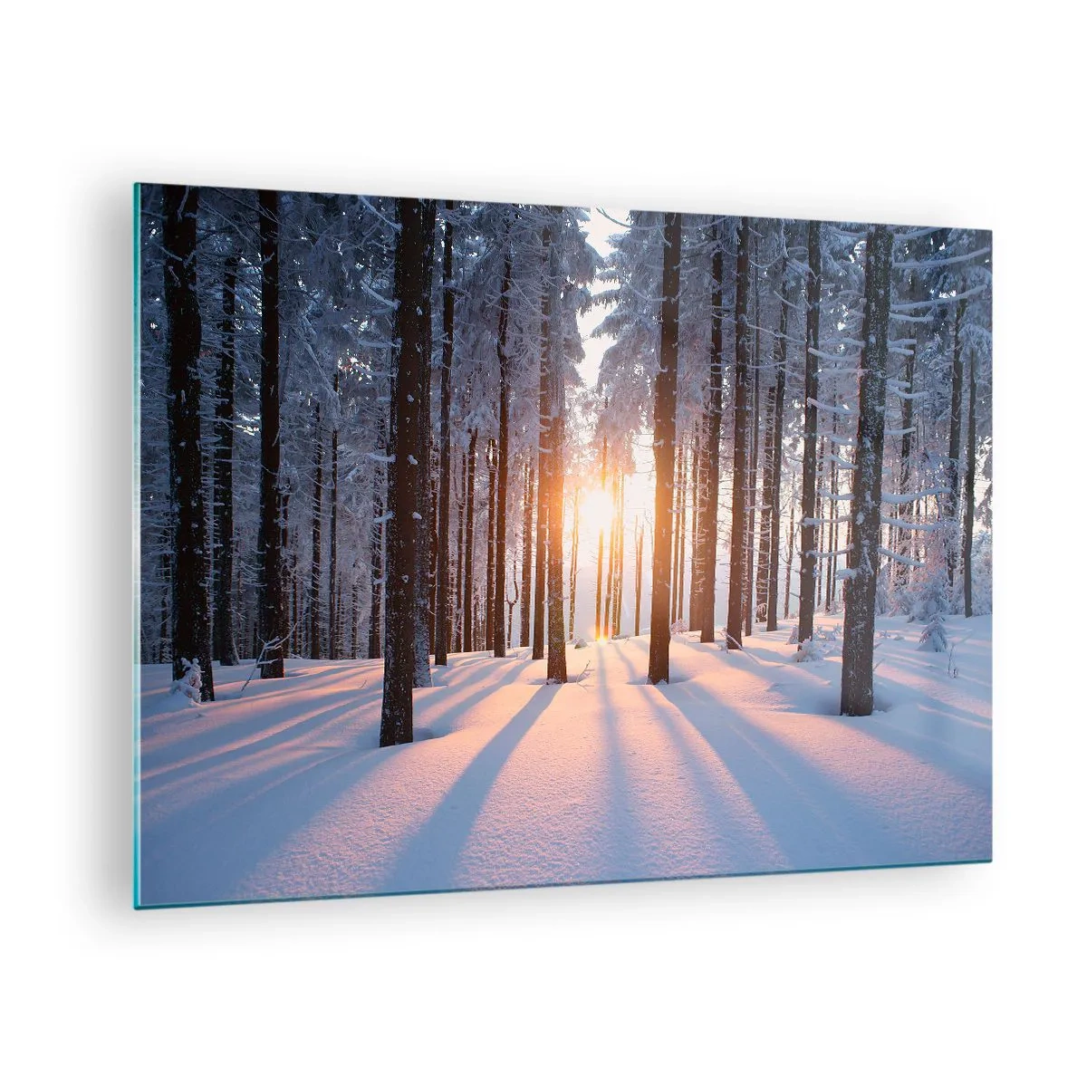 Schilderen op glas - Winterbos met zonnestralen die door de bomen schijnen - 70x50cm - Duidelijk in zwart-wit - Moderne wanddecoratie voor woonkamer en slaapkamer ARTTOR