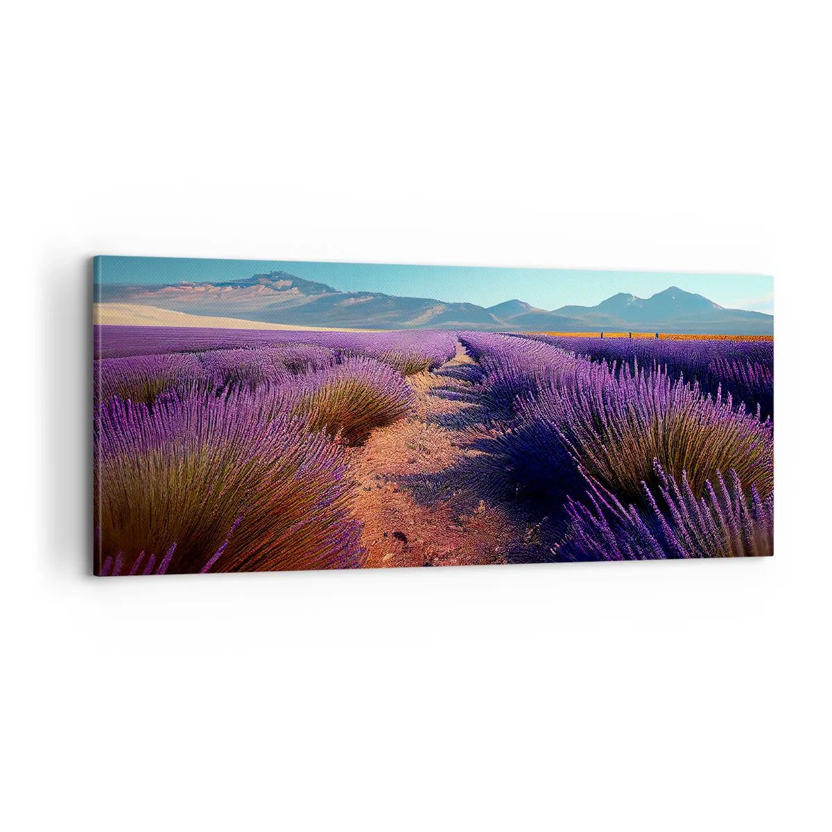 Schilderen op canvas - Geurige velden - 100x40 cm