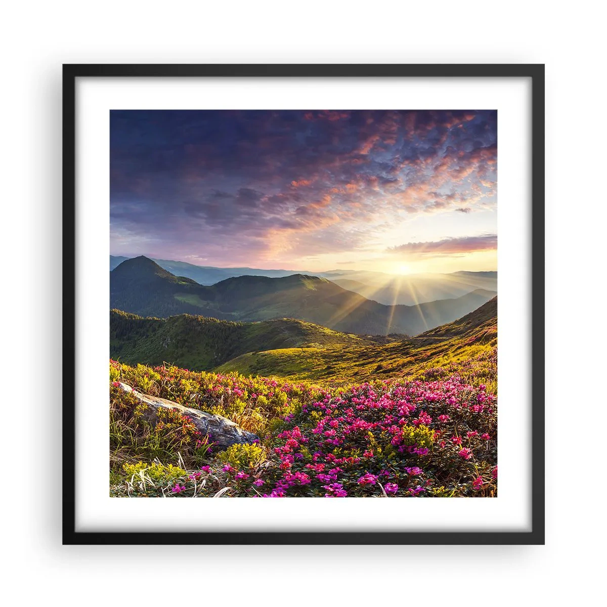 Poster in een zwarte lijst - Frisheid in de ochtend in de bergen - 50x50 cm