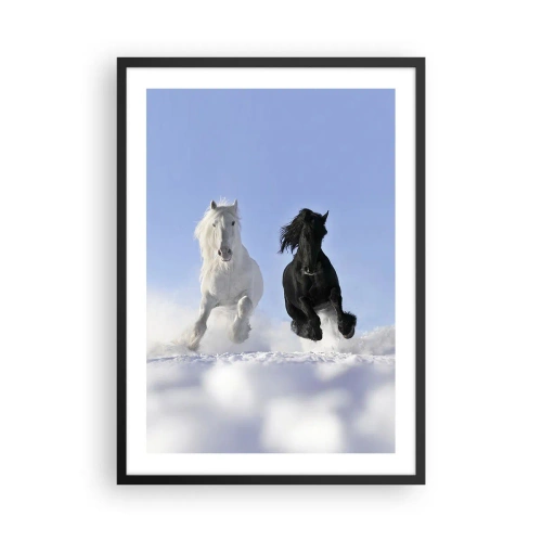 Poster in een zwarte lijst - Een wit en zwart paard galoppeert in de sneeuw - 50x70cm - Zwart-wit galop - Moderne wanddecoratie voor woonkamer en slaapkamer ARTTOR
