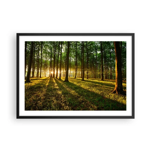 Poster in een zwarte lijst - Foto van de hele lente - 70x50 cm