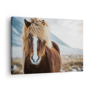 Schilderen op canvas - Voel jij je vrij? - 70x50 cm