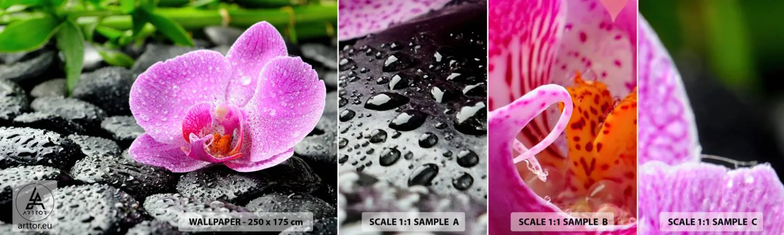 Fotobehang Monster Zelfklevend Deluxe Sticker - Als een open hart - Bloemen, Orchidee, Orchidee - 100x30 cm