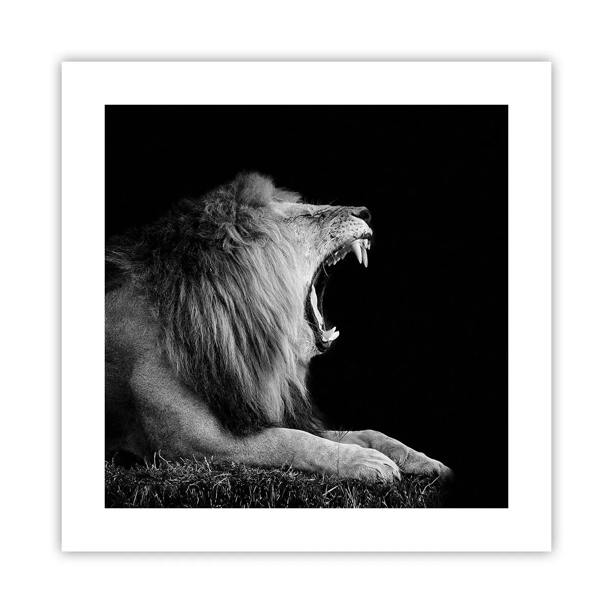Poster - Zonder enige twijfel - 40x40 cm