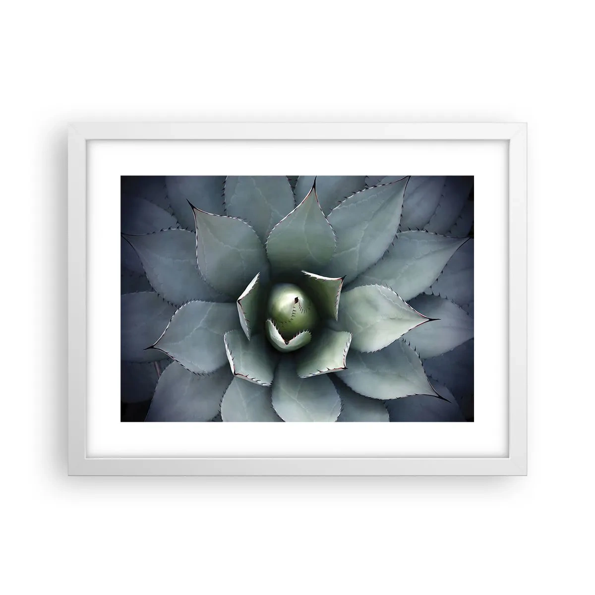 Poster in een witte lijst - Het trekt aan en waarschuwt - 40x30 cm