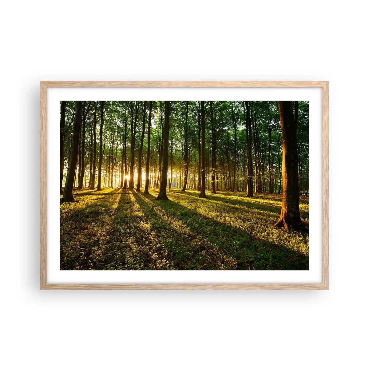 Een poster in een licht eiken lijst - Foto van de hele lente - 70x50 cm