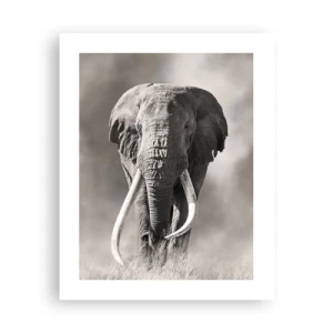 Poster - Afrikaanse patriarch - 40x50 cm