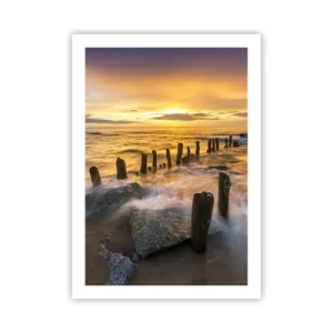 Poster - De rauwe schoonheid van de Oostzee - 50x70 cm