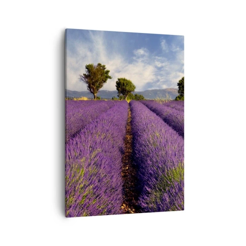 Schilderen op canvas - Lavendel velden - 50x70 cm