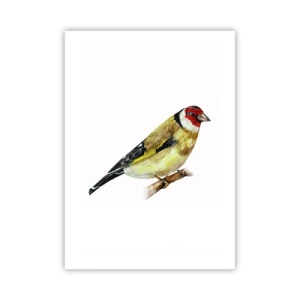 Poster - Vogel portret - 50x70 cm