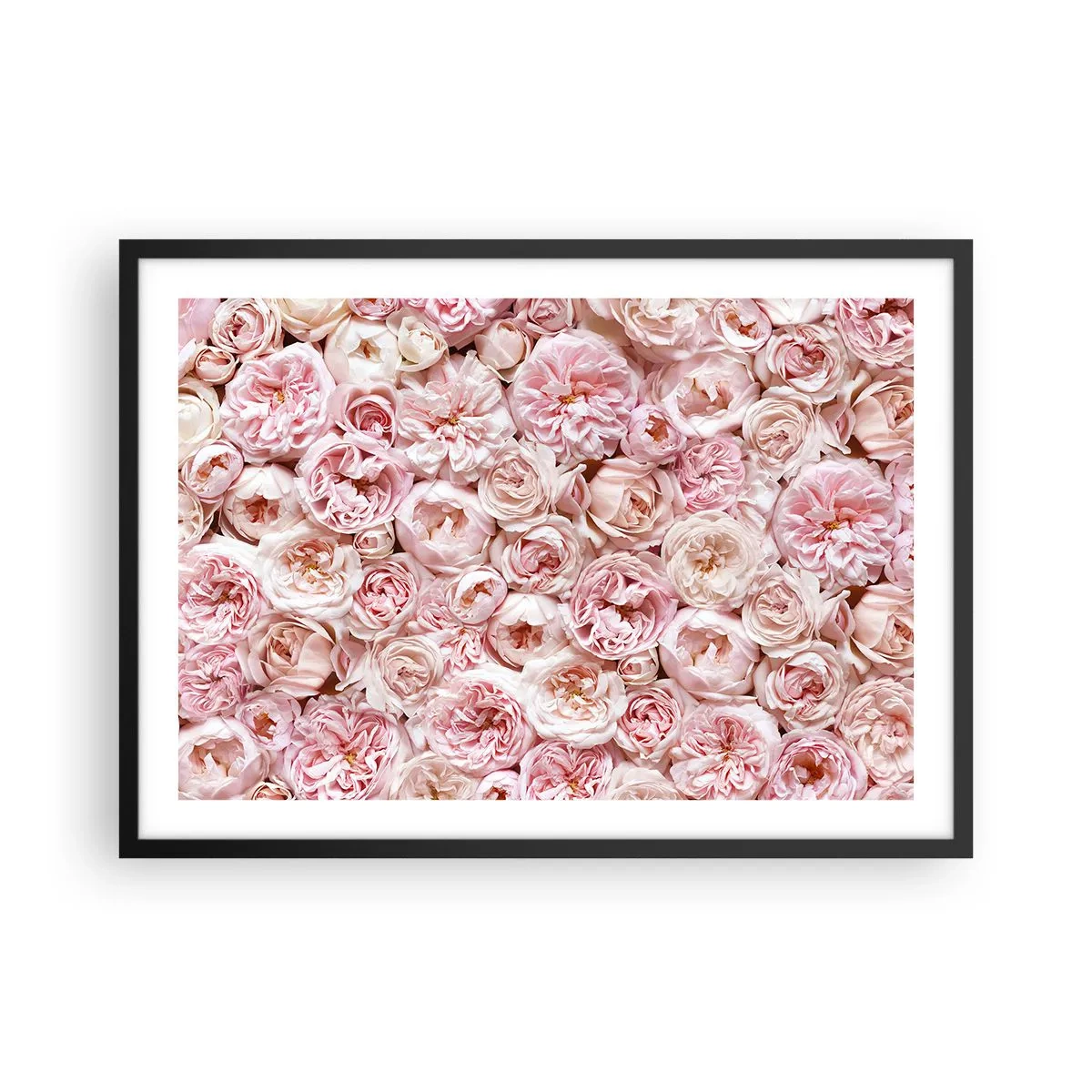 Poster in een zwarte lijst - Een bed van rozen - 70x50 cm