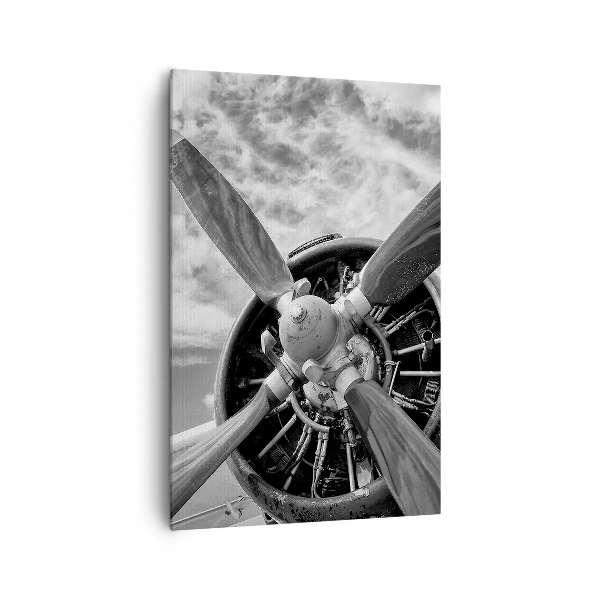 Schilderen op canvas - Veroveraar van de lucht - 80x120 cm