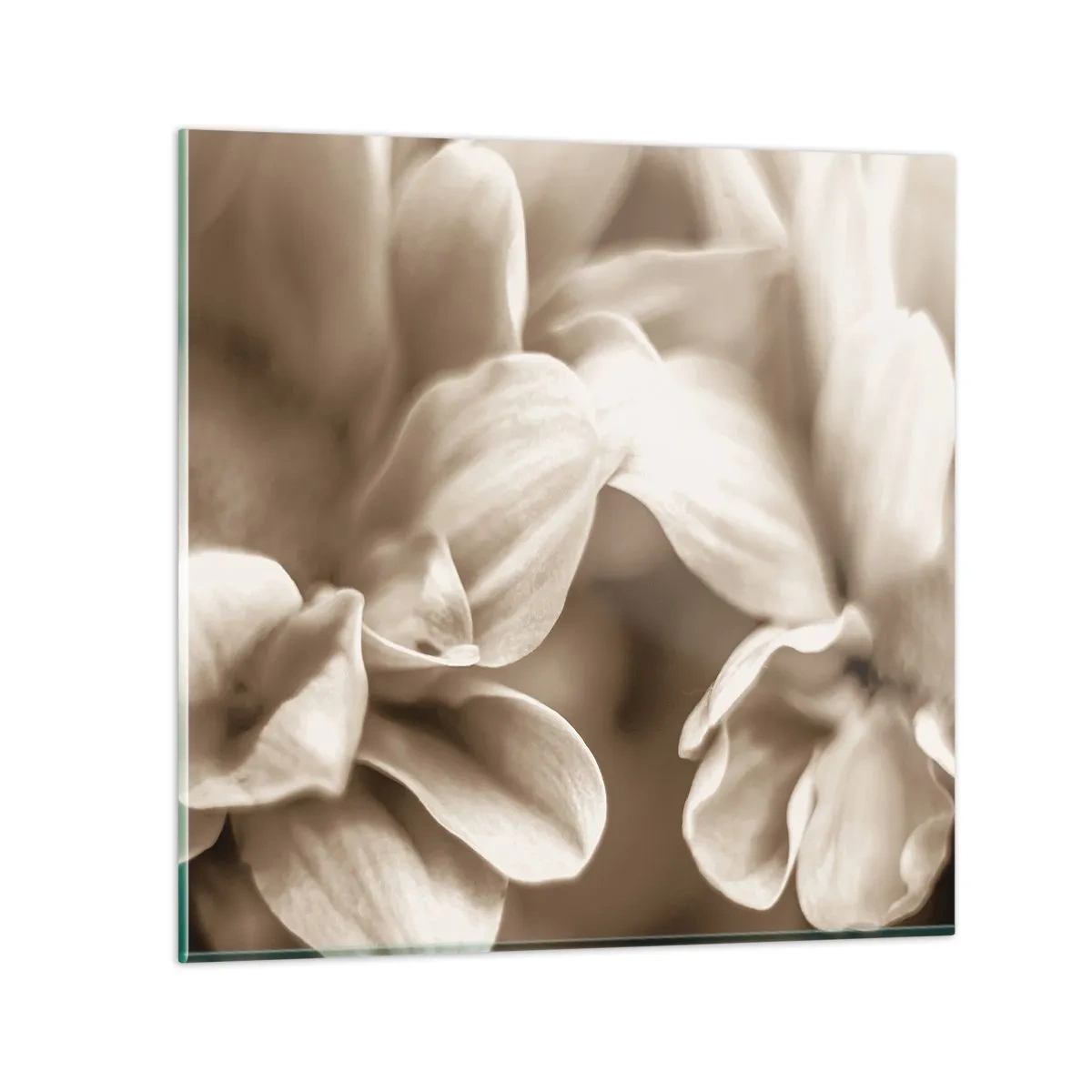 Schilderen op glas - Zo zacht als een glimlach - 60x60 cm