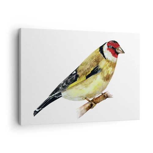 Schilderen op canvas - Een vogel met een rode kop op een tak - 70x50cm - Vogel portret - Moderne wanddecoratie voor woonkamer en slaapkamer ARTTOR