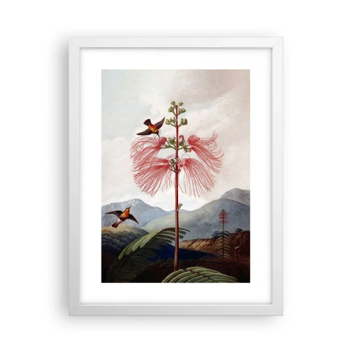 Poster in een witte lijst - In een tropisch paradijs - 30x40 cm