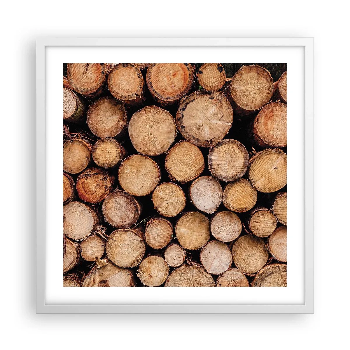 Poster in een witte lijst - Een nieuw begin - 50x50 cm