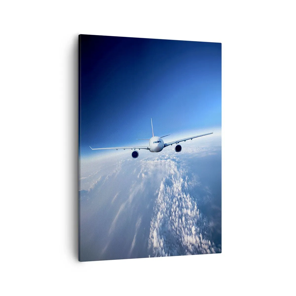 Schilderen op canvas - Ik vlieg omdat ik dat wil - 50x70 cm