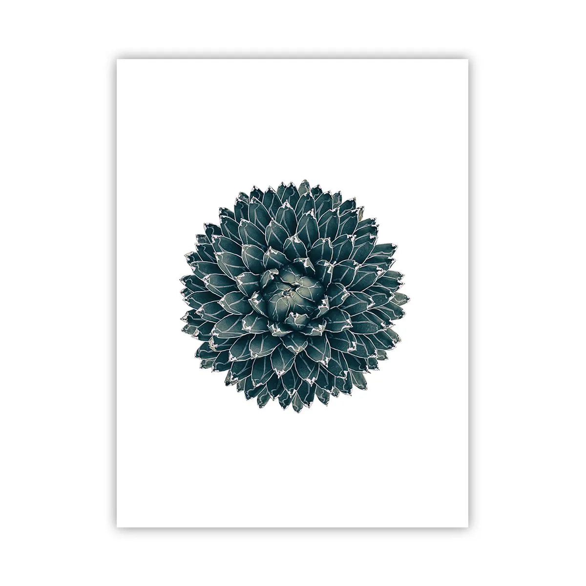 Poster - De ster van de woestijn - 30x40 cm