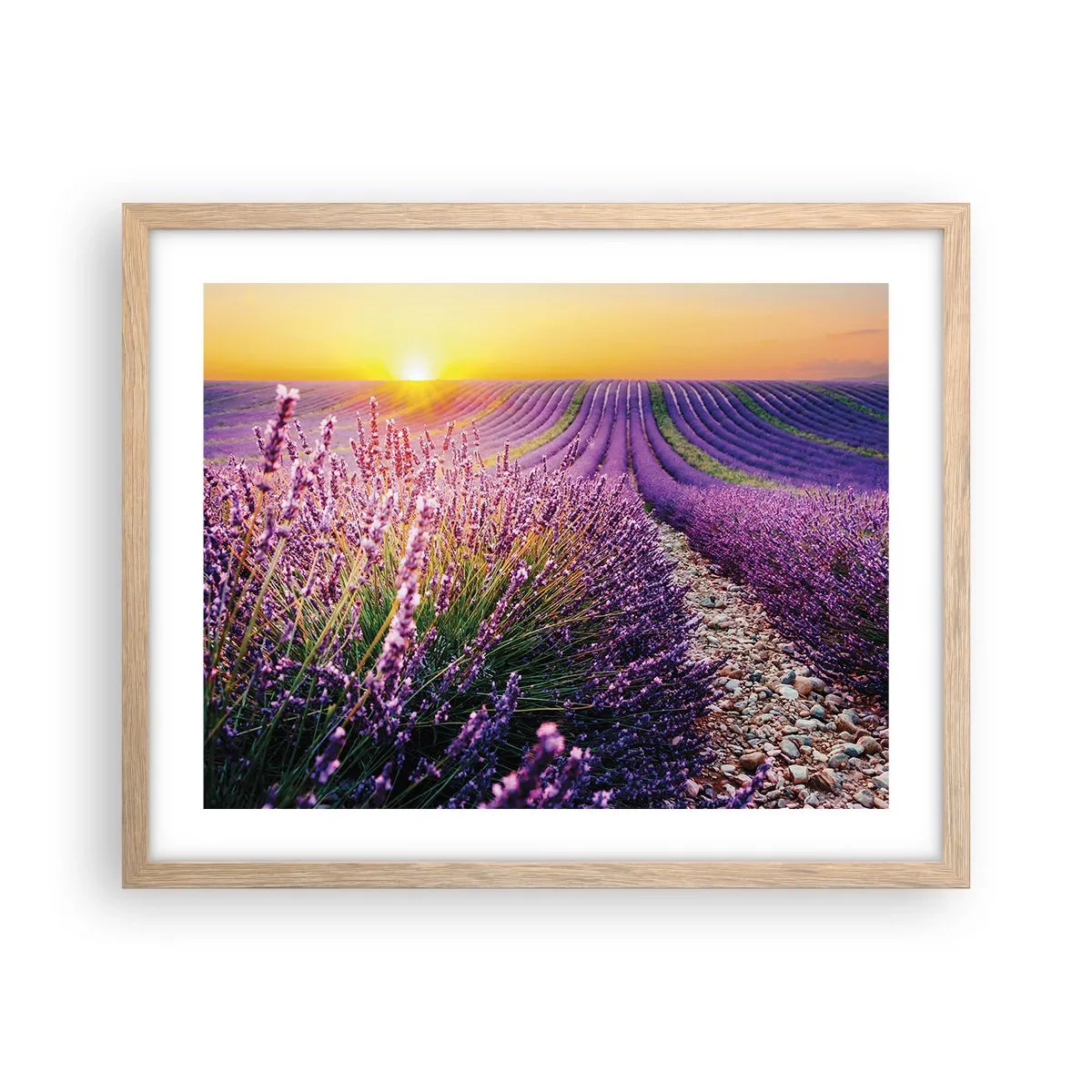 Een poster in een licht eiken lijst - Geurige korenvelden - 50x40 cm