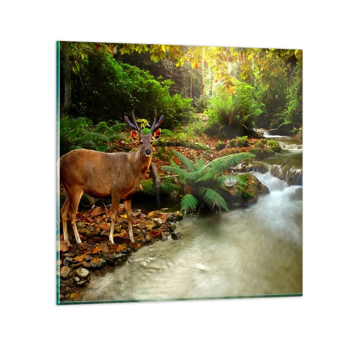 Schilderen op glas - Welkom in mijn wereld - 40x40 cm