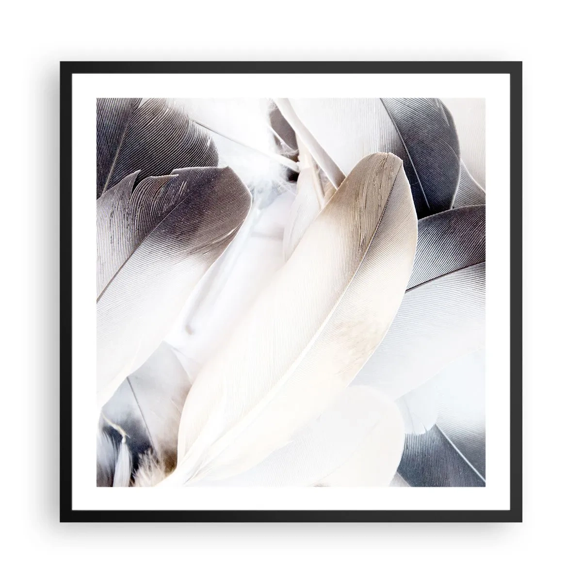 Poster in een zwarte lijst - Bijna engelachtig - 60x60 cm