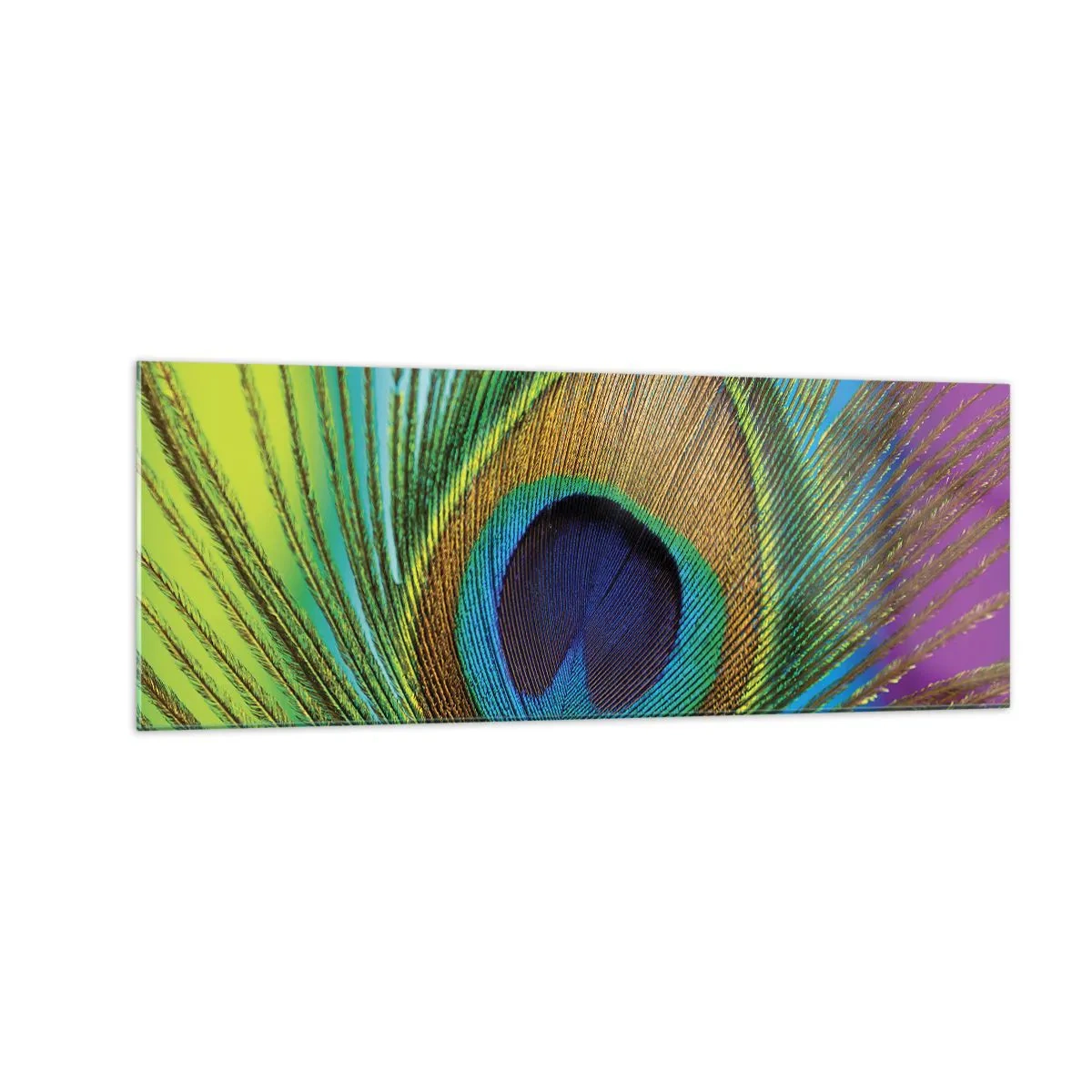 Schilderen op glas - Oog in oog - 140x50 cm